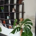 Charcoal Black Eye Wall Shelf, Sphere Bookcase, Hanging Geometric Restaurant Home Furniture - Image 6